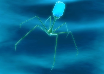 Similar image 8220622