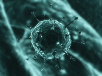 Similar image 8220676