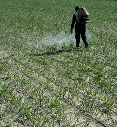 Similar image 8220719