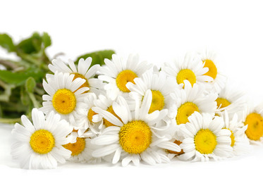 Similar image 8220745