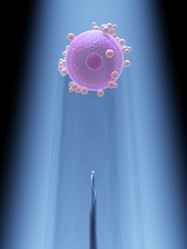 Similar image 8220826