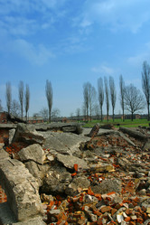 Similar image 8220837