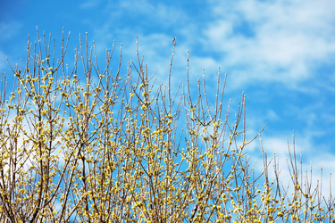 Similar image 8220841