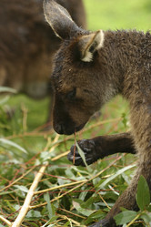 Similar image 8220876