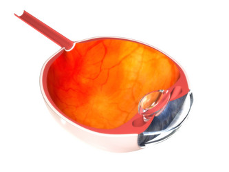 Similar image 8220890