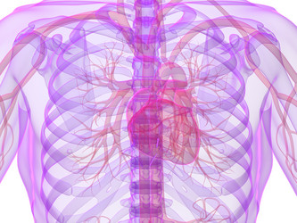 Similar image 8220892