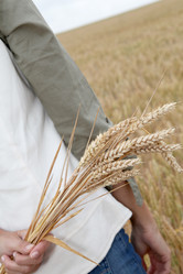 Similar image 8220923