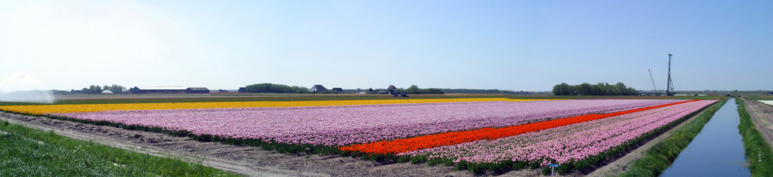 Similar image 8220962