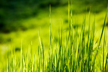 Similar image 8220990