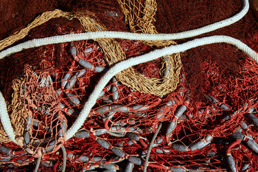 Similar image 8221044