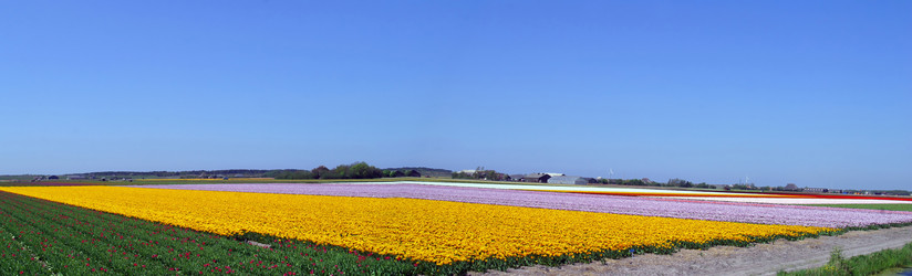 Similar image 8221118