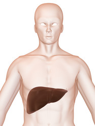 Similar image 8221219