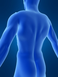 Similar image 8221224