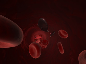 Similar image 8221225