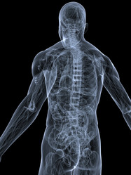 Similar image 8221236