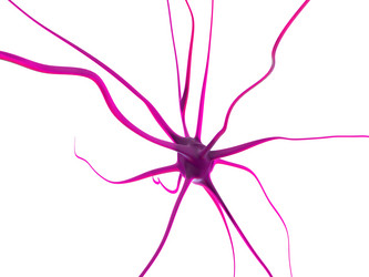 Similar image 8221246