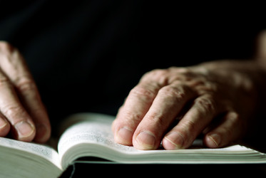 Similar image 8221288