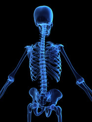 Similar image 8221327