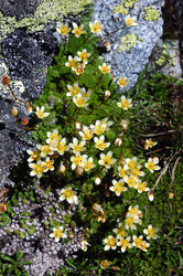 Similar image 8221344