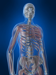 Similar image 8221362