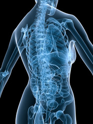 Similar image 8221402