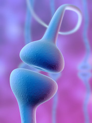 Similar image 8221409