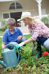 Similar image 8221444