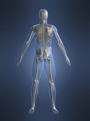 Similar image 8221459