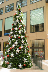 Similar image 8221525