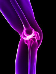 Similar image 8221530