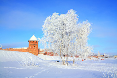 Similar image 8221534