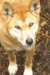 Similar image 8221543