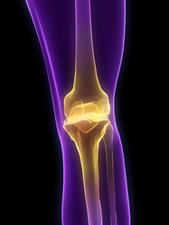 Similar image 8221567