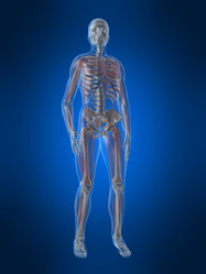 Similar image 8221607