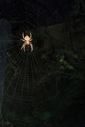 Similar image 8221610