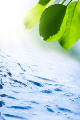 Similar image 8221622