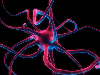 Similar image 8221683