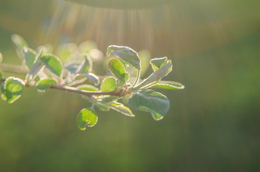 Similar image 8221811