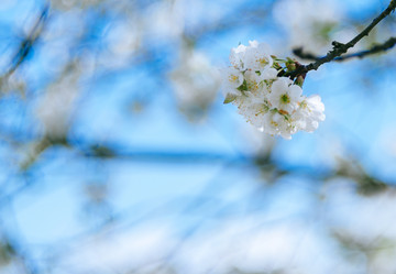 Similar image 8221812