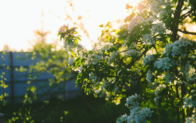 Similar image 8221815