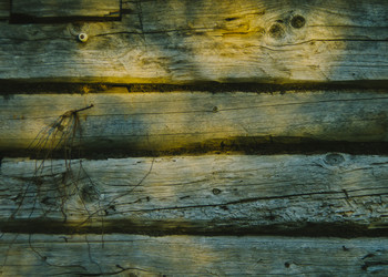 Similar image 8221817