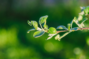 Similar image 8221821