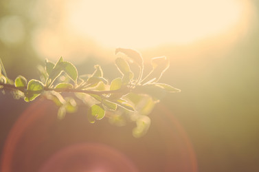 Similar image 8221823