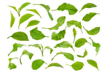 Similar image 8221919