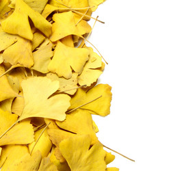 Similar image 8221921