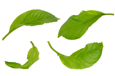 Similar image 8221927