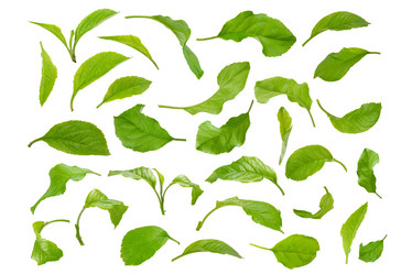 Similar image 8221938