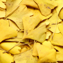 Similar image 8221939