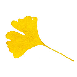 Similar image 8221941