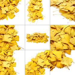 Similar image 8221942